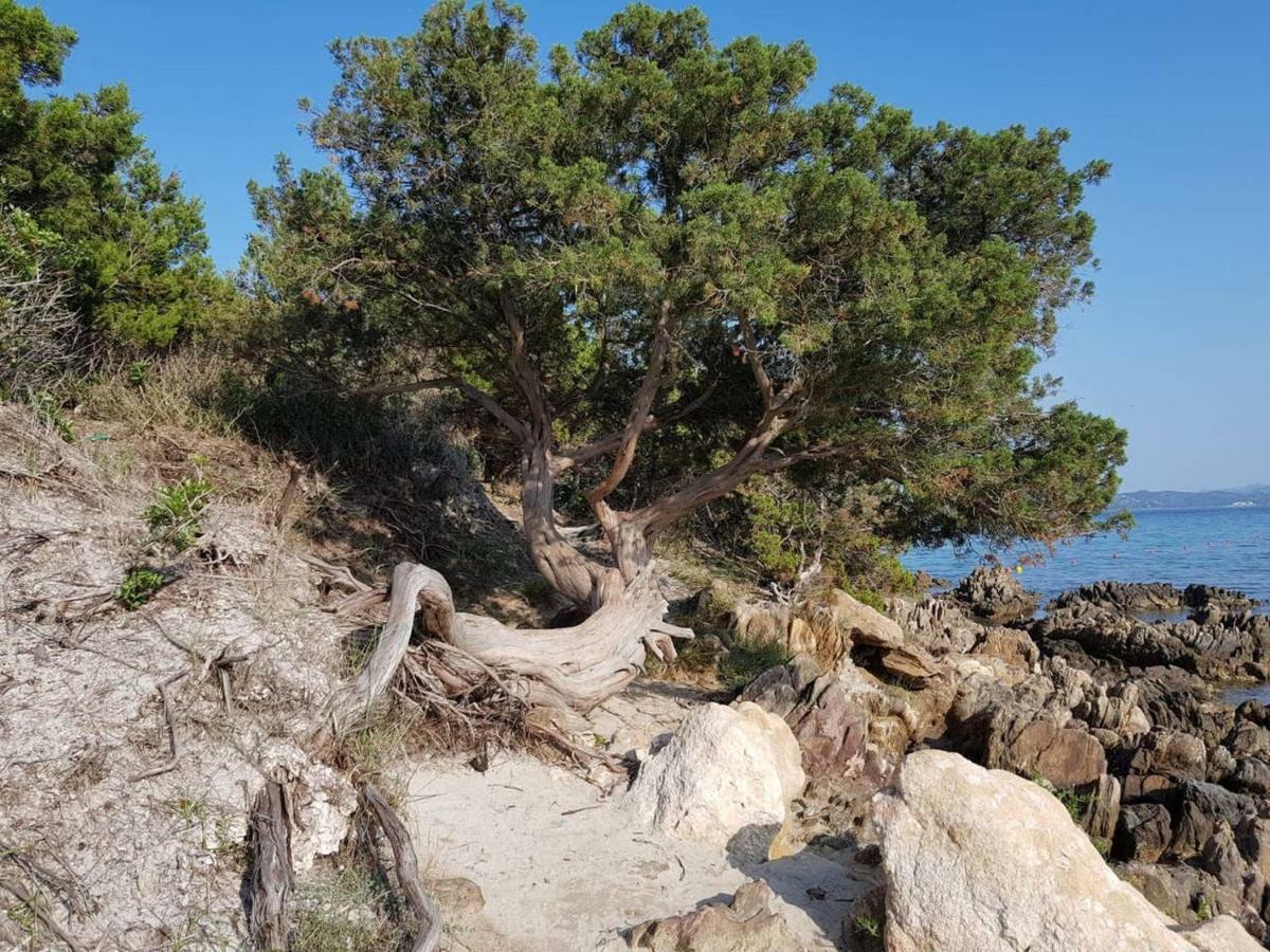 Place San Pantaleo : Jolie Maison Sarde Authentique Villa Bagian luar foto