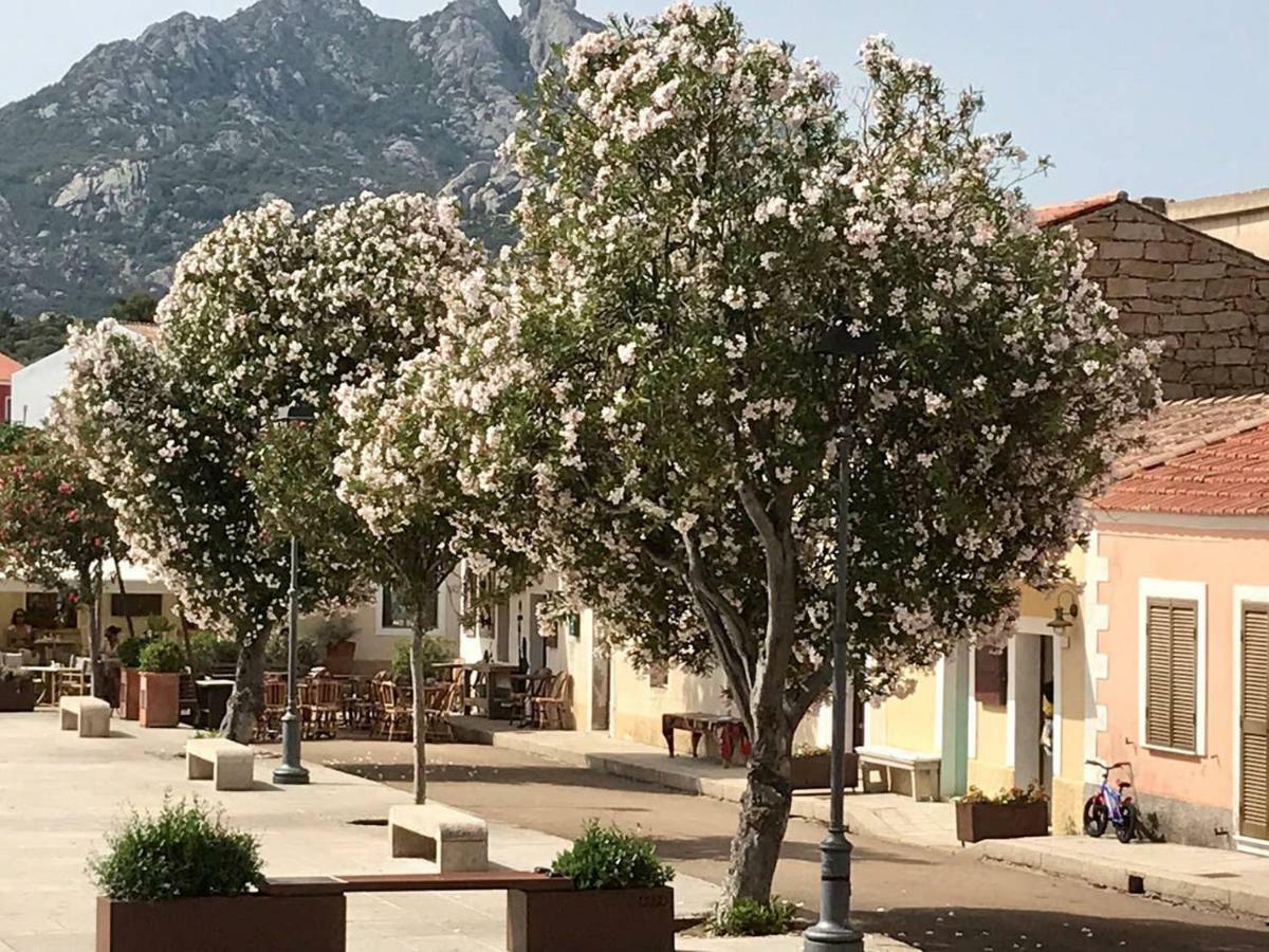 Place San Pantaleo : Jolie Maison Sarde Authentique Villa Bagian luar foto